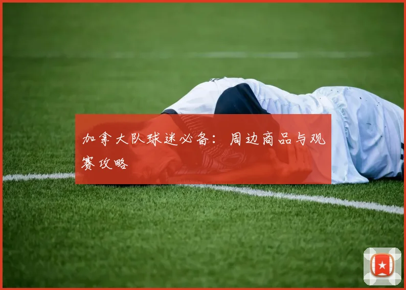 加拿大队球迷必备：周边商品与观赛攻略