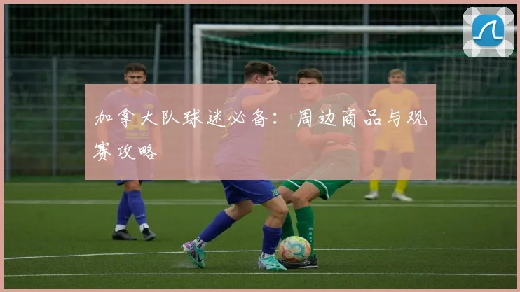 加拿大队球迷必备：周边商品与观赛攻略