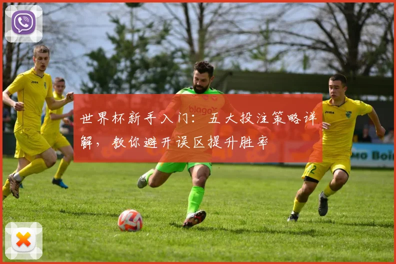 世界杯新手入门:五大投注策略详解,教你避开误区提升胜率