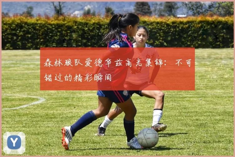 森林狼队爱德华兹高光集锦:不可错过的精彩瞬间